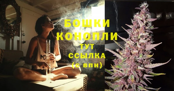 MESCALINE Осинники