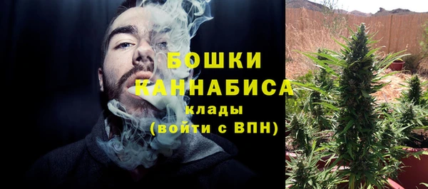 дживик Пересвет